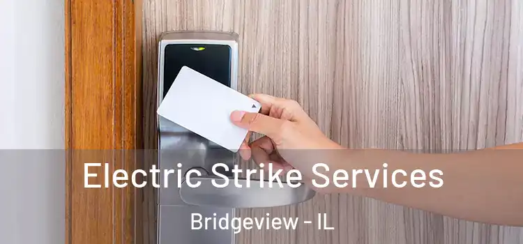  Electric Strike Services Bridgeview - IL