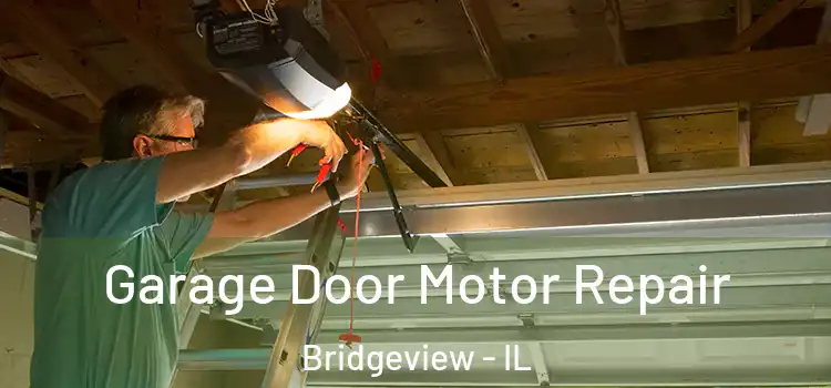  Garage Door Motor Repair Bridgeview - IL