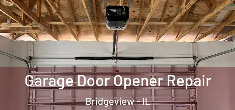  Garage Door Opener Repair Bridgeview - IL