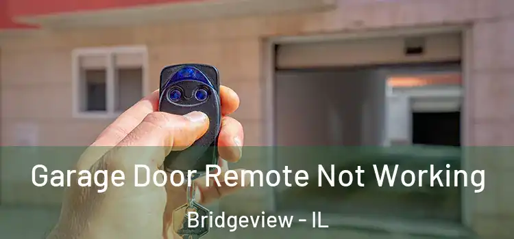  Garage Door Remote Not Working Bridgeview - IL