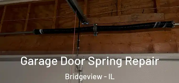  Garage Door Spring Repair Bridgeview - IL