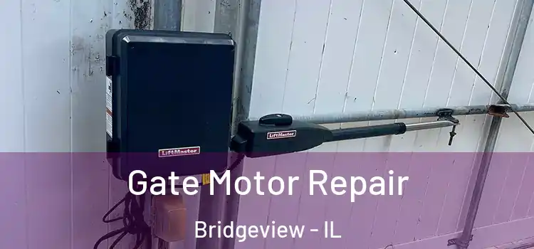 Gate Motor Repair Bridgeview - IL