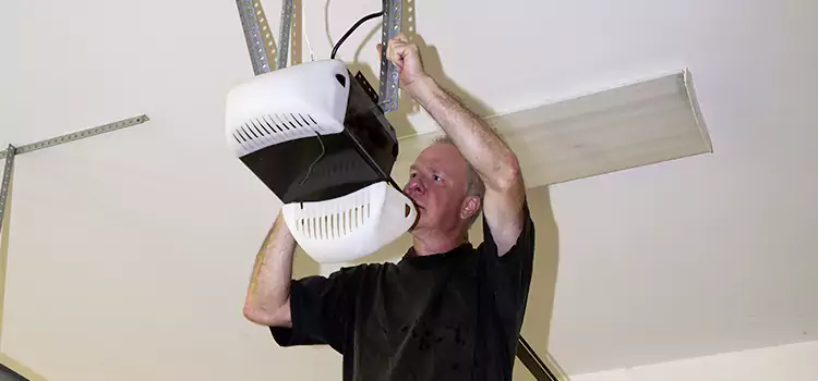 Garage Door Opener Service Bridgeview
