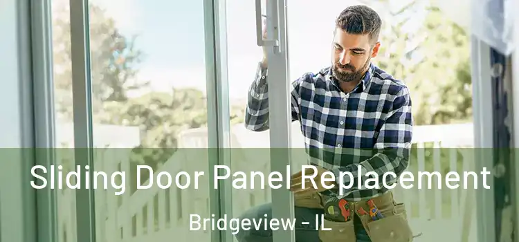  Sliding Door Panel Replacement Bridgeview - IL